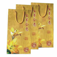 Color Pinting Paper Bag for Shopping and Promotion